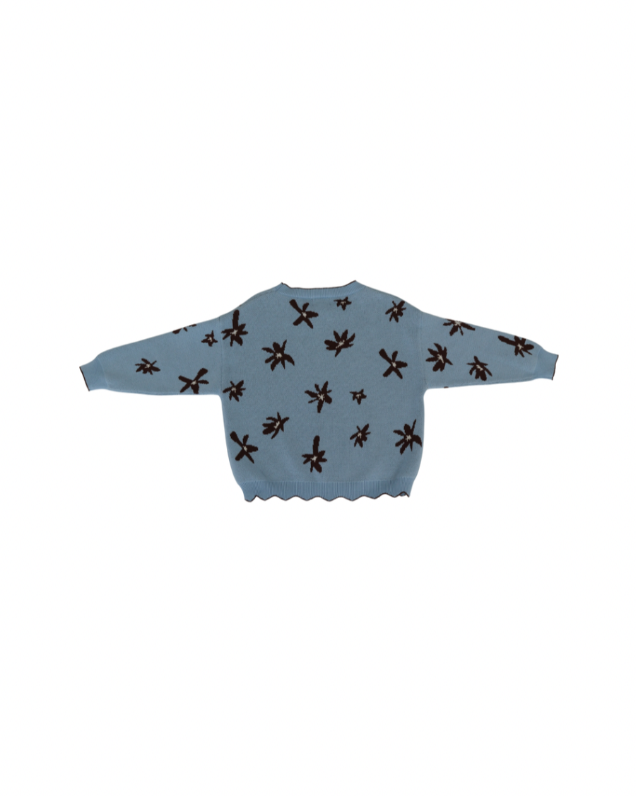 Light blue sweater with brown patterns on a white background